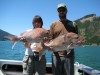 NZ Pink Snapper